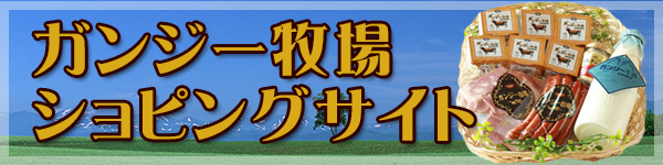 ガンジーファームのショッピングサイト