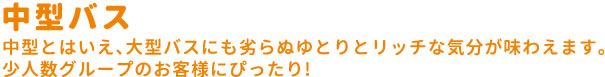 中型バス 中型とはいえ、大型バスにも劣らぬゆとりとリッチな気分が味わえます。
少人数グループのお客様にぴったり!