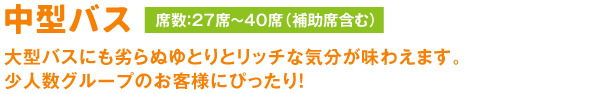中型バス 中型とはいえ、大型バスにも劣らぬゆとりとリッチな気分が味わえます。
少人数グループのお客様にぴったり!