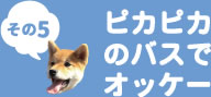 その5　ピカピカのバスでオッケー